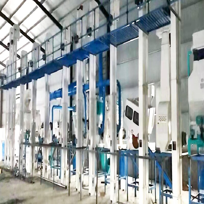 Spannmålsgrödor Produktion Och Bearbetning